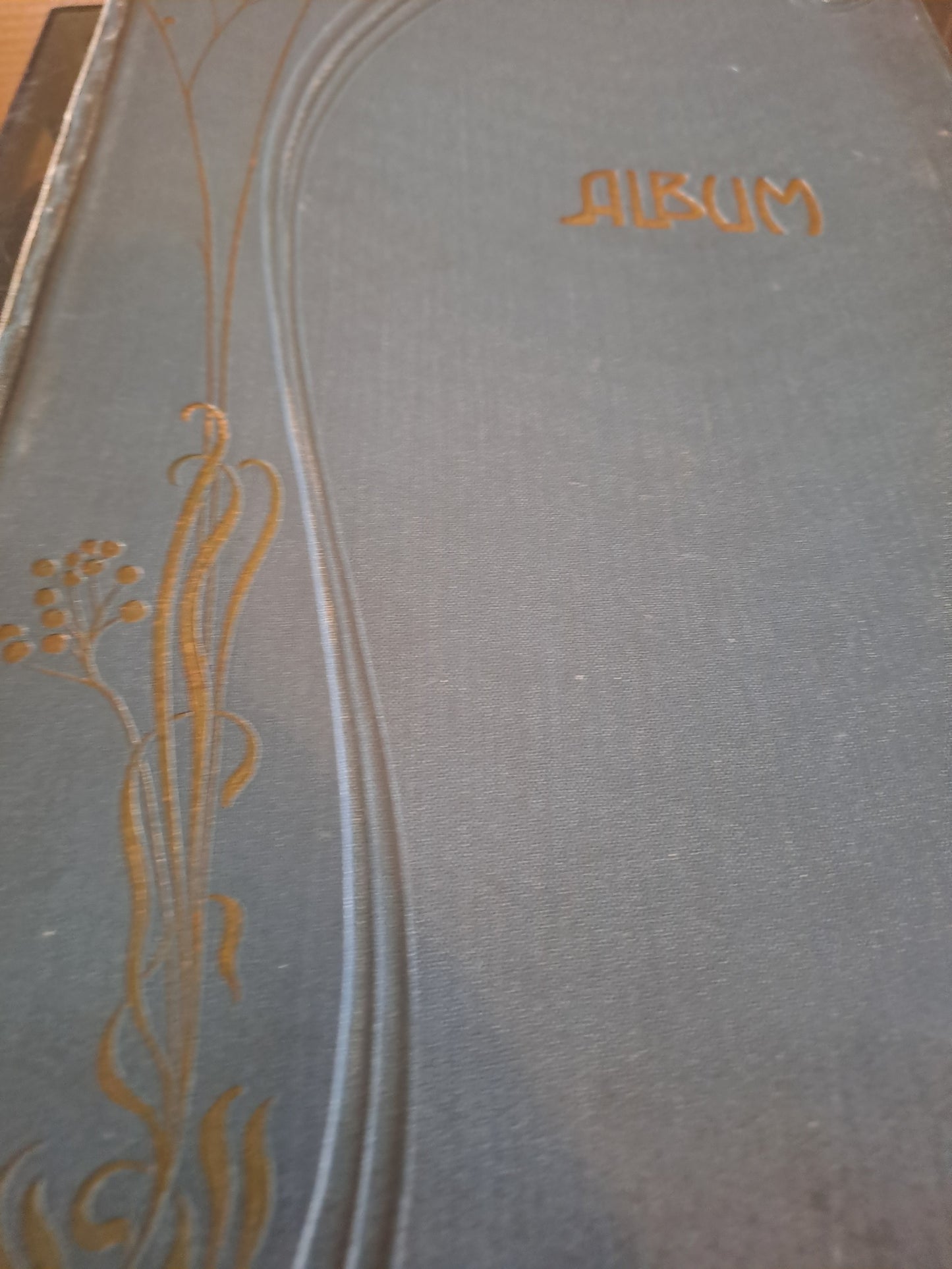Album Photos Art Nouveau.